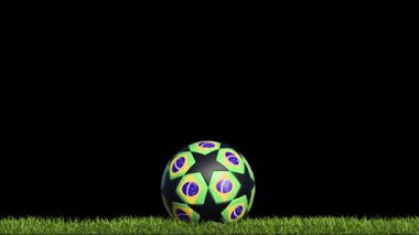 Brezilya Futbol Topu Çimenlerde