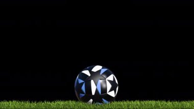 Estonya Futbol Topu Çimenlerde