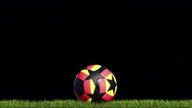 Almanya Futbol Topu Çimenlerde