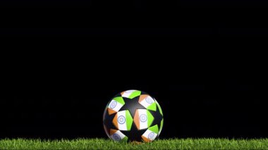 Hindistan Futbol Topu Çimenlerde