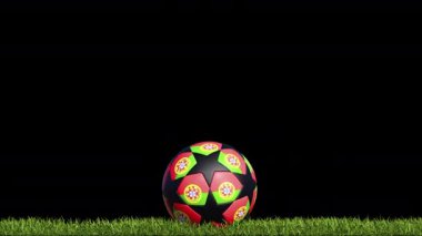 Portekiz Futbol Topu Çimenlerde