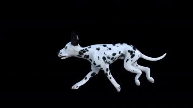 Dalmaçyalı Köpek Koşan Kenar Görünümü