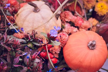Vibrant autumn arrangement featuring white and orange pumpkins surrounded by colorful flowers and foliage. Blue blossoms, reddish-pink blooms, and purple leaves create a festive seasonal display, ideal for fall, harvest, or Thanksgiving themes.