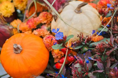 Festive autumn arrangement featuring orange and white pumpkins surrounded by vibrant flowers and foliage. Bright marigolds, blue blossoms, and red leaves create a warm seasonal atmosphere, ideal for fall, harvest, or Thanksgiving themes.