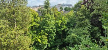 Lüksemburg 'daki yemyeşil ağaçlar tarafından kısmen gizlenmiş tarihi kemerli köprünün manzarası. Görüntü, bir yaz günü doğa ve kentsel altyapı arasındaki uyumu yakalar..
