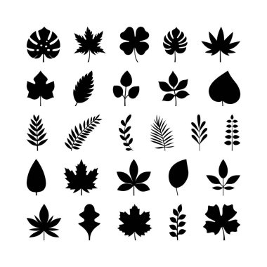 Dekoratif Yaprak Siluet Vektör İllüstrasyon Ayarları