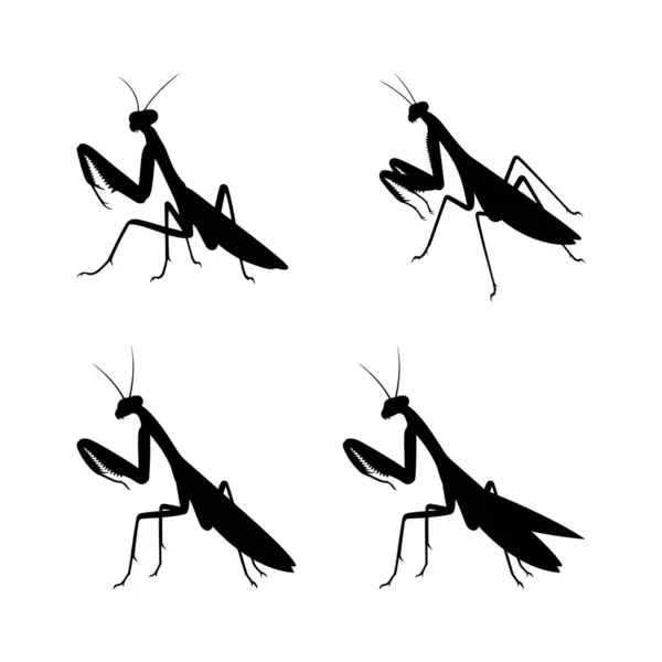Peygamberdevesi Böceği Vektör İllüstrasyon Silueti Ayarlandı
