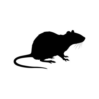 Yan Profilde Sıçan Silueti Kara Vektör Böcek Kontrolü, Vahşi Yaşam ve Eğitim Kullanımı Simgesi