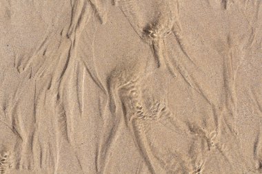 Su Brittany 'de bir kumsalda akıyor.