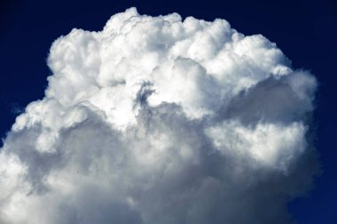 Sydney, New South Wales, Avustralya 'da gökyüzünde kümülüs bulutları. Fotoğraf: Tara Chand Malhotra)