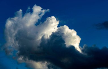Sydney, New South Wales, Avustralya 'da gökyüzünde kümülüs bulutları. Fotoğraf: Tara Chand Malhotra)
