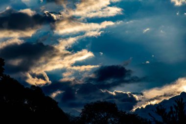 Sydney, New South Wales, Avustralya 'da gökyüzünde kümülüs bulutları. Fotoğraf: Tara Chand Malhotra)