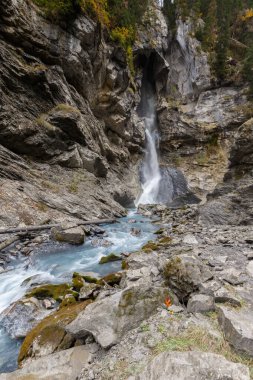 Güzel dağ nehrinin manzaralı görüntüsü