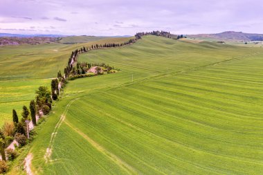 Tuscany manzarası İtalya doğası manzarası