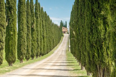 Tuscany manzarası İtalya doğası manzarası