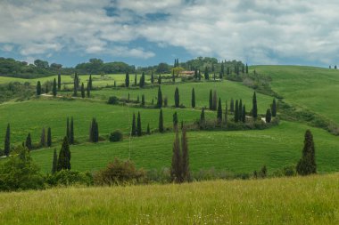 Tuscany manzarası İtalya doğası manzarası