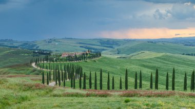 Tuscany manzarası İtalya doğası manzarası