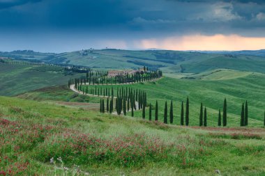 Tuscany manzarası İtalya doğası manzarası