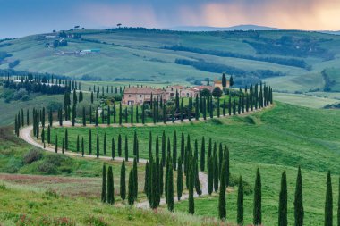 Tuscany manzarası İtalya doğası manzarası