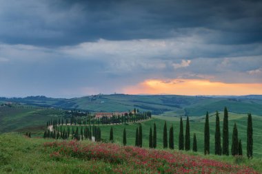 Tuscany manzarası İtalya doğası manzarası