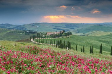 Tuscany manzarası İtalya doğası manzarası