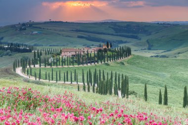 Tuscany manzarası İtalya doğası manzarası