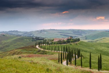 Tuscany manzarası İtalya doğası manzarası