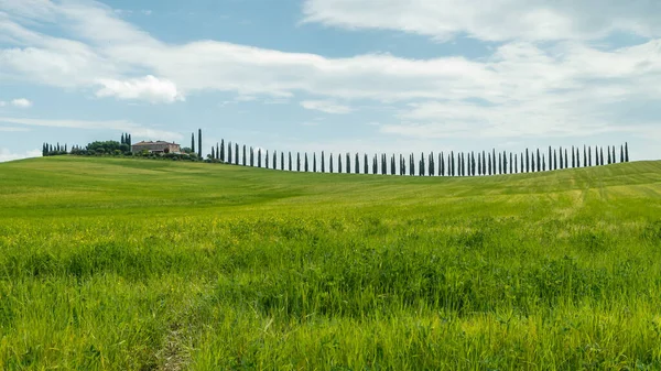 Tuscany Landscape Italy Nature Scenic View — Stock Photo, Image