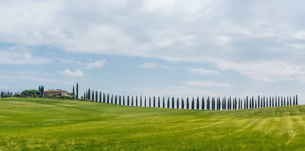 Tuscany Landscape Italy Nature Scenic View — Stock Photo, Image