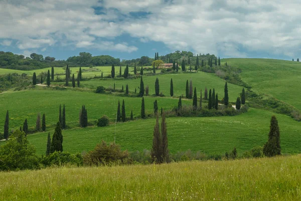 Tuscany Táj Olasz Természet Festői Kilátás — Stock Fotó
