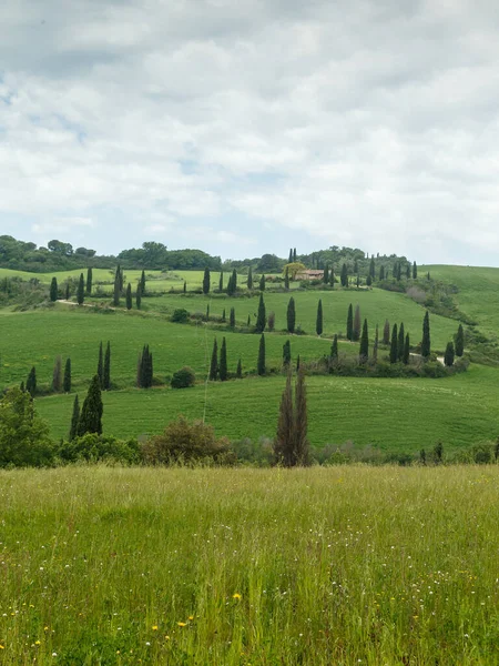 Тосканський Пейзаж Італійській Природі Мальовничий Вид — стокове фото
