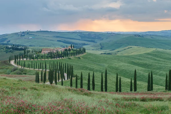 stock image tuscany landscape in italy nature scenic view