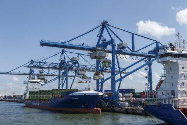 Hollanda Rotterdam limanında konteyner gemileri ve konteynır vinci   