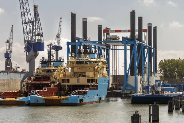 荷兰鹿特丹港的集装箱船和集装箱船起重机 — 图库照片