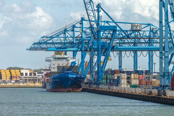 Navi Portacontainer Gru Portacontainer Nel Porto Rotterdam Paesi Bassi — Foto Stock