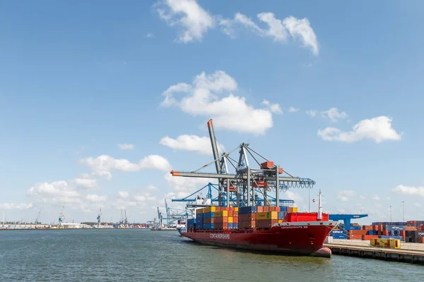 Hollanda Rotterdam Limanında Konteyner Gemileri Konteynır Vinci — Stok fotoğraf