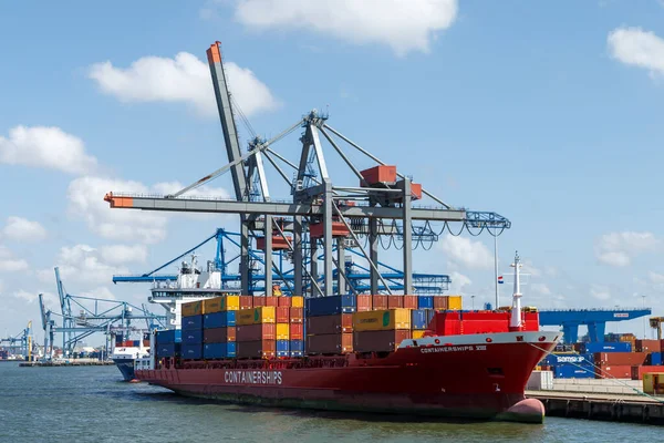 荷兰鹿特丹港的集装箱船和集装箱船起重机 — 图库照片