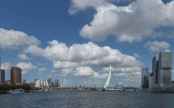 Vue Port Rotterdam Des Toits Ville Avec Une Architecture Moderne — Photo