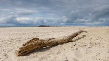 Kumda eski ahşap bir tekne