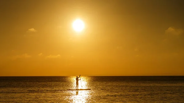 Man Sup Sunset Stock Picture