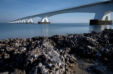 Zeelandbridge ya da Zeelandbrug Oosterschelde 'yi kapsayan bir köprü