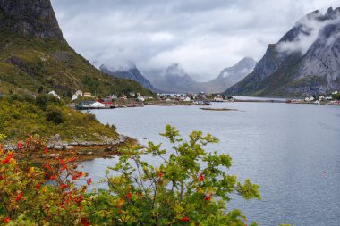 Lofoten Norveç yukarıdan görüldü, Hamny, Henningsvaer, Reine.