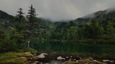 Arocky sahilli bir dağ gölünün çarpıcı manzarası. Su durgun ve koyu bir zümrüt rengine dönüşür, etrafındaki çam ağaçlarını ve sisli dağları yansıtır..