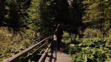 Kız ıslak bir dağlık çayırda tahta bir köprüden geçiyor. Alp bitkileri, çiçekler ve her iki taraftaki otlar, Avusturya Alpleri 'nde sık bir köknar ormanına götürür..
