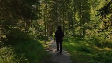 Kız, çam ve köknar ağaçlarıyla güneşli bir dağlık ormanda yürüyüş yapıyor. Yeşil, sihirli atmosferin tüm tonları, sakin Avusturya Alpleri. Bereketli dağ doğası ve sakin orman patikası.