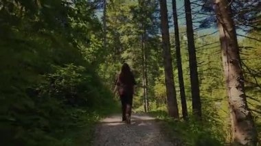 Kız, güneşli bir alp çamı ve köknar ormanının derinliklerine doğru yürüyor. Ağaçların arasından güneş ışınları, Avusturya Alplerindeki tüm yeşil, sihirli ve sakin atmosfer gölgeleri.