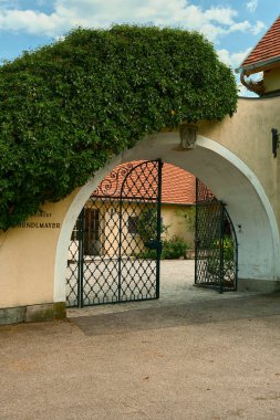 Avusturya 'nın Wachau Vadisi' nin pitoresk bir köyünde yoğun, yemyeşil ve sarmaşıklarla çevrili sarı bir kemerin yakın çekimi..