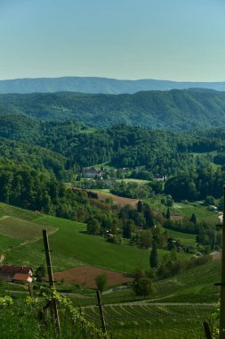 Slovenya 'nın üzüm bağları, ormanları ve Sdsteirische Weinstrae boyunca uzanan şatoya benzeyen uzak bir malikanesinin panoramik manzarası. Seyahat, doğa ve Avrupa kırsal içeriği için mükemmel.