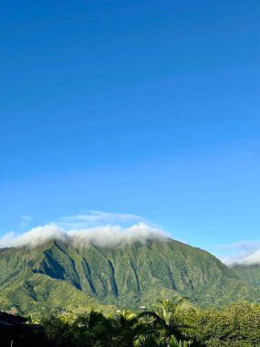 Waihole Ormanı 'ndaki sisli dağ sırtının üstündeki mavi gökyüzü