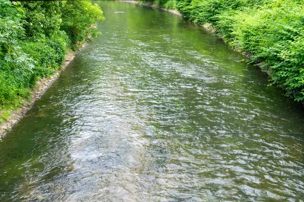 Nehir yemyeşil bitki örtüsüyle kaplı.